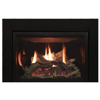 Empire | Rushmore 30 Inch Direct-Vent Gas Fireplace Insert