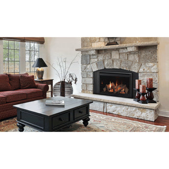 Majestic | Ruby 25" Traditional Direct Vent Gas Fireplace Insert With IntelliFire Touch Ignition System